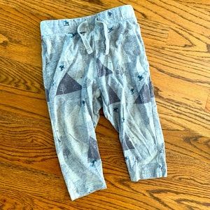 Tea Collection Baby Joggers / Pants